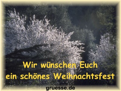 grusskarte-festtage-weihnachten-fotos_009