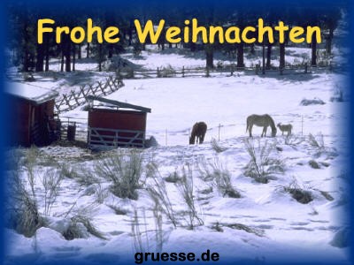 grusskarte-festtage-weihnachten-fotos_010