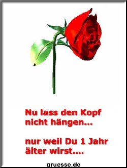 grusskarte-Grosse-Karten-geburtstag_016