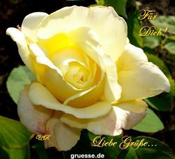 grusskarte-Traumschiff-Blumengruesse-k_037