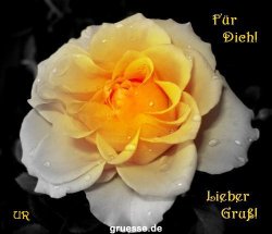 grusskarte-Traumschiff-Blumengruesse-k_039