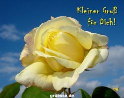 grusskarte-Traumschiff-Blumengruesse-k_045