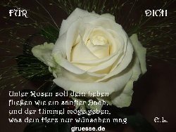 grusskarte-Traumschiff-Blumengruesse-k_050