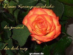 grusskarte-Traumschiff-Blumengruesse-k_051