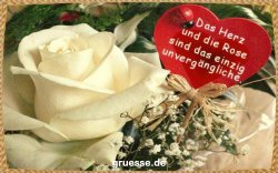 grusskarte-Traumschiff-Blumengruesse_028