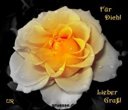 grusskarte-Traumschiff-Blumengruesse_039