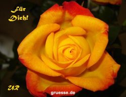 grusskarte-Traumschiff-Blumengruesse_041