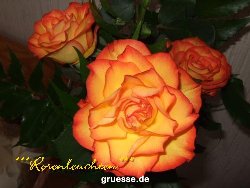 grusskarte-Traumschiff-Blumengruesse_049