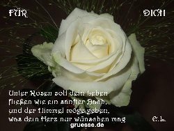 grusskarte-Traumschiff-Blumengruesse_050