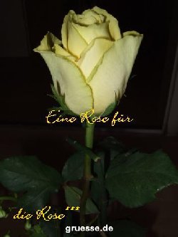 grusskarte-Traumschiff-Blumengruesse_053