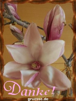 grusskarte-Traumschiff-Danke-k_004