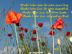 grusskarte-Traumschiff-Danke-k_012