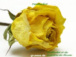 grusskarte-Traumschiff-Danke-k_014