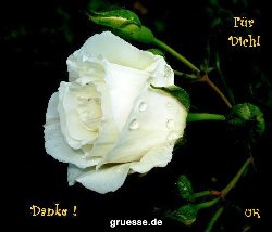 grusskarte-Traumschiff-Danke_011