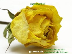 grusskarte-Traumschiff-Danke_014