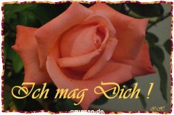 grusskarte-Traumschiff-Freundschaft-k_002