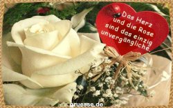 grusskarte-Traumschiff-Freundschaft-k_009