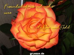 grusskarte-Traumschiff-Freundschaft-k_014