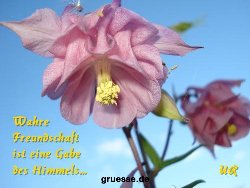 grusskarte-Traumschiff-Freundschaft_011