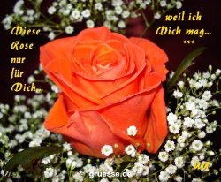 grusskarte-Traumschiff-Freundschaft_012