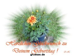 grusskarte-Glueckwuensche-Geburtstag-k_003
