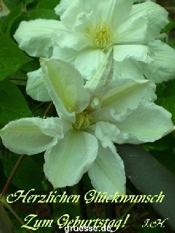 grusskarte-Glueckwuensche-Geburtstag-k_005
