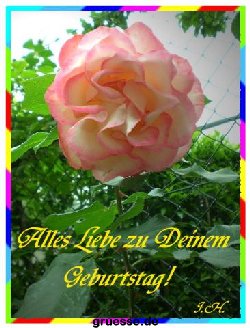 grusskarte-Glueckwuensche-Geburtstag-k_007