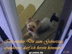 grusskarte-Glueckwuensche-Geburtstag-k_008