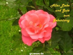 grusskarte-Glueckwuensche-Geburtstag-k_009
