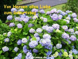 grusskarte-Glueckwuensche-Geburtstag-k_011