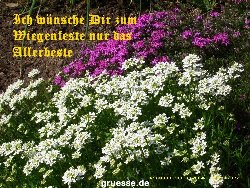 grusskarte-Glueckwuensche-Geburtstag-k_012