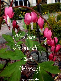 grusskarte-Glueckwuensche-Geburtstag-k_014