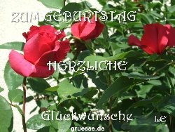 grusskarte-Glueckwuensche-Geburtstag-k_020