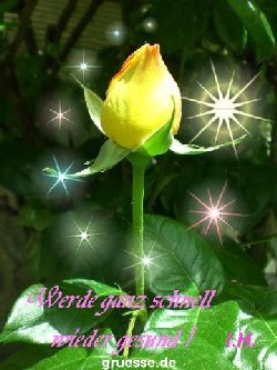 grusskarte-Traumschiff-Gute-Besserung-k_001