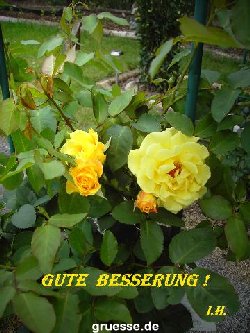 grusskarte-Traumschiff-Gute-Besserung-k_002