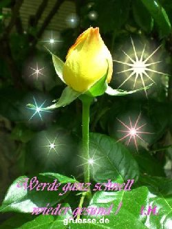 grusskarte-Traumschiff-Gute-Besserung_001