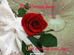 grusskarte-Glueckwuensche-Hochzeit-k_006