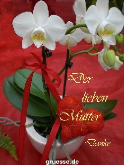grusskarte-Glueckwuensche-Muttertag-k_004