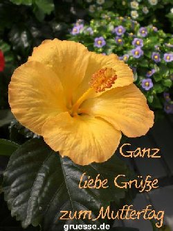 grusskarte-Glueckwuensche-Muttertag-k_009