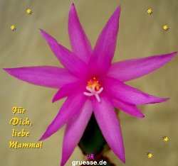 grusskarte-Glueckwuensche-Muttertag-k_017