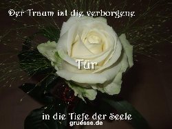 grusskarte-Traumschiff-Nachdenkliches_005