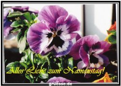 grusskarte-Glueckwuensche-Namenstag-k_003