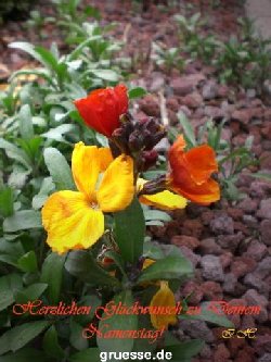 grusskarte-Glueckwuensche-Namenstag-k_004