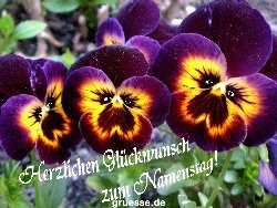 grusskarte-Glueckwuensche-Namenstag-k_008