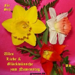 grusskarte-Glueckwuensche-Namenstag-k_013