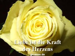 grusskarte-Traumschiff-Netter_Spruch-k_006