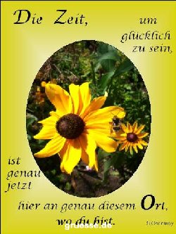 grusskarte-Traumschiff-Netter_Spruch_003