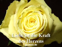 grusskarte-Traumschiff-Netter_Spruch_006