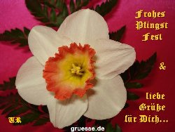 grusskarte-Festtage-Pfingsten-k_007