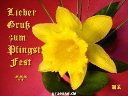 grusskarte-Festtage-Pfingsten-k_008